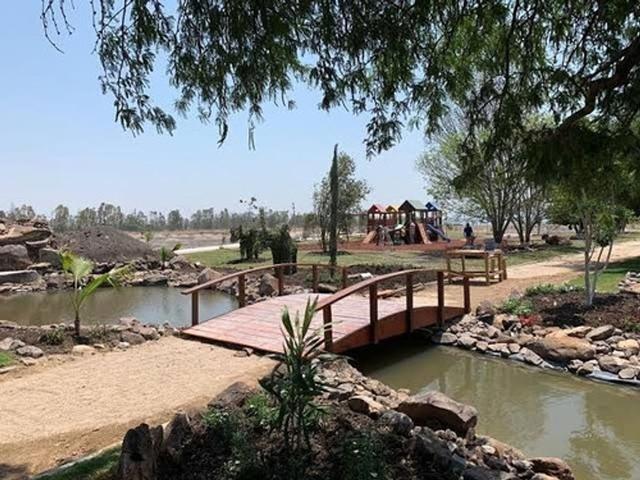 Foto de la galeria de imagenes