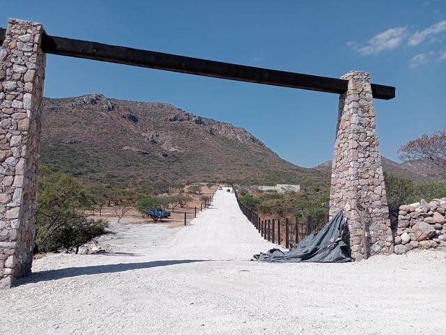 Foto de la galeria de imagenes