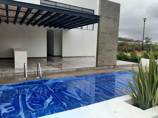 Foto de la galeria de imagenes