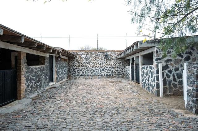 Foto de la galeria de imagenes