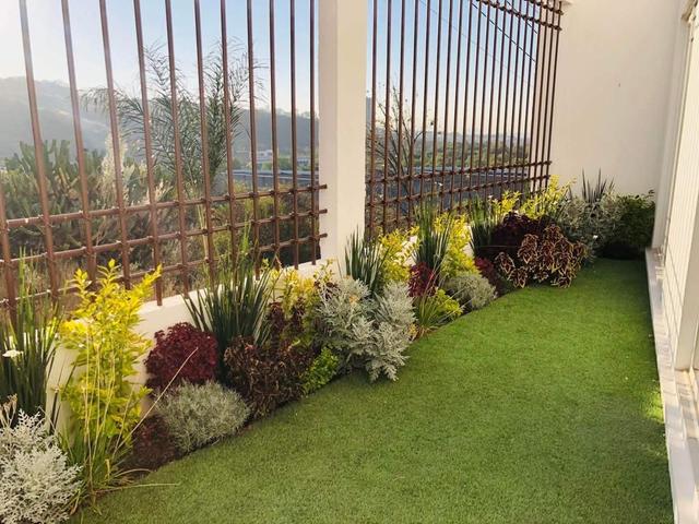 Foto de la galeria de imagenes