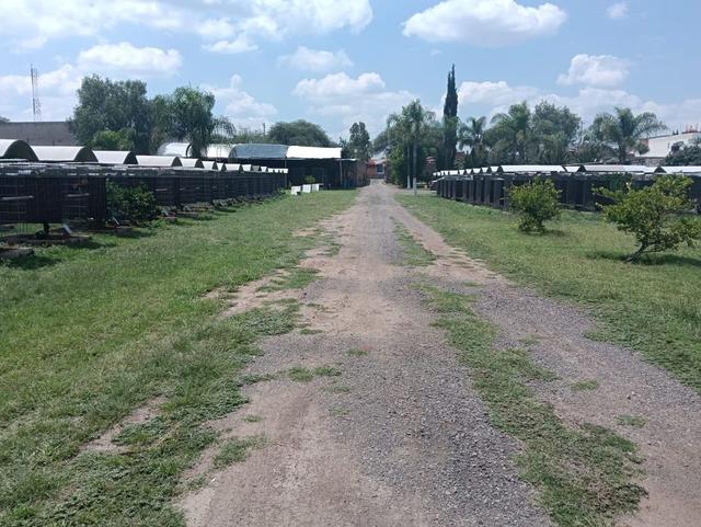 Foto de la galeria de imagenes